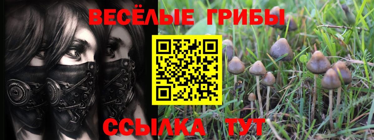 Альфа ПВП Владимир
