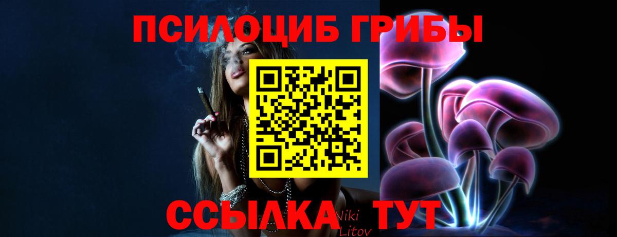 Галлюциногенные грибы прущие грибы Владимир