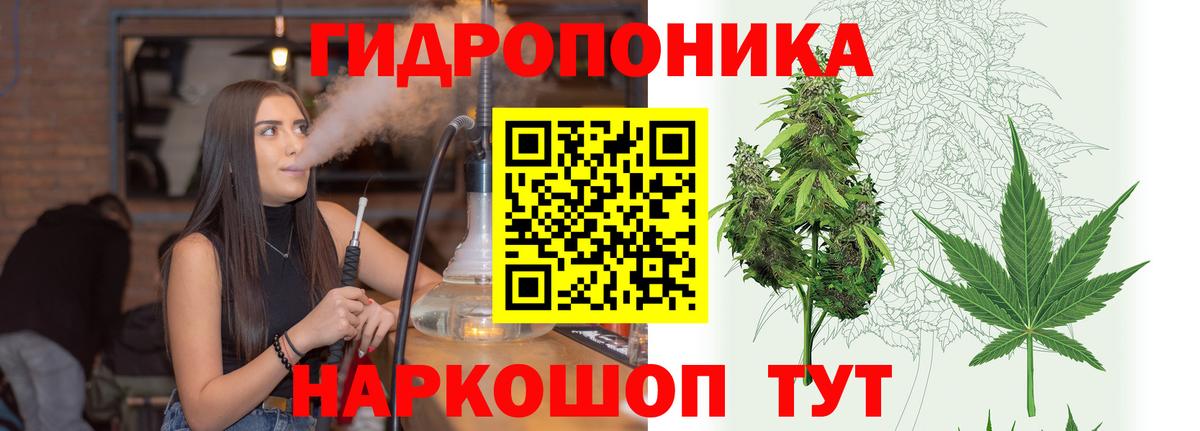 Владимир  МАРИХУАНА план  Бошки Шишки планчик  Шишки марихуана AK-47  Вход с VPN  МАРИХУАНА тримм 